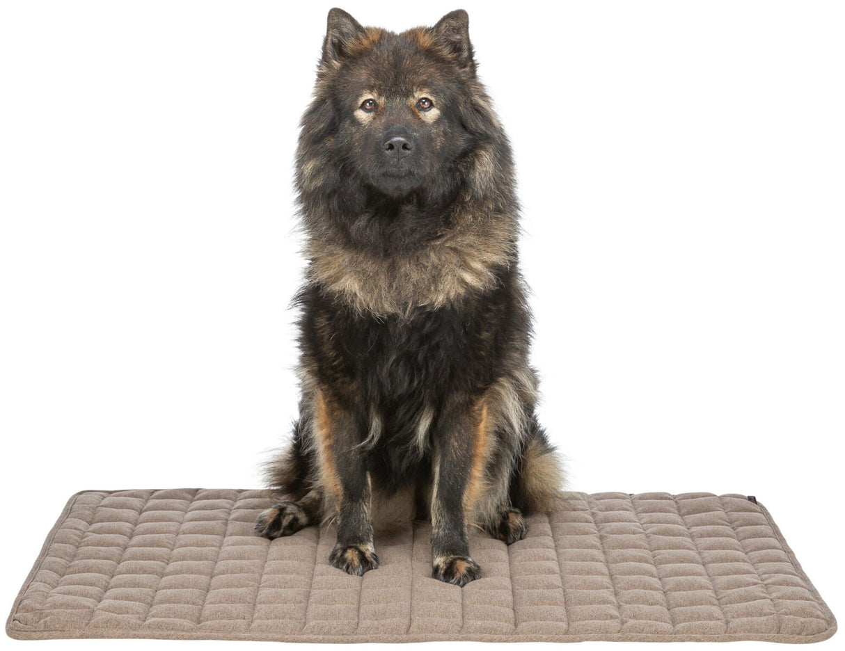 Ein großer, flauschiger Hund sitzt auf einer rechteckigen, gesteppten, beigen Matte vor weißem Hintergrund.