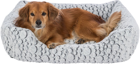 PHO_PRO_DOG_CLIP_38983-1