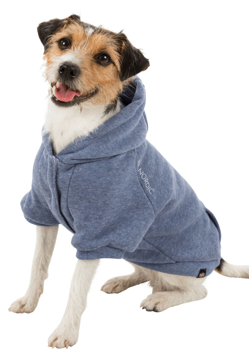 Ein Hund trägt einen blauen Hoodie mit der Aufschrift "NORDIC" auf der Seite, sitzt und schaut freundlich.