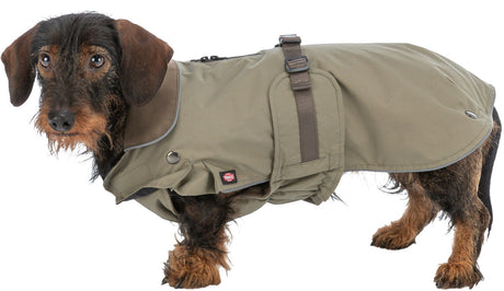 Hund mit braunem Fell trägt einen olivgrünen Mantel mit Schnallen und Kragen.