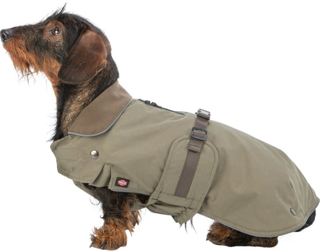 Ein Hund trägt einen olivgrünen Mantel mit Schnallen und einem kleinen Logo an der Seite.