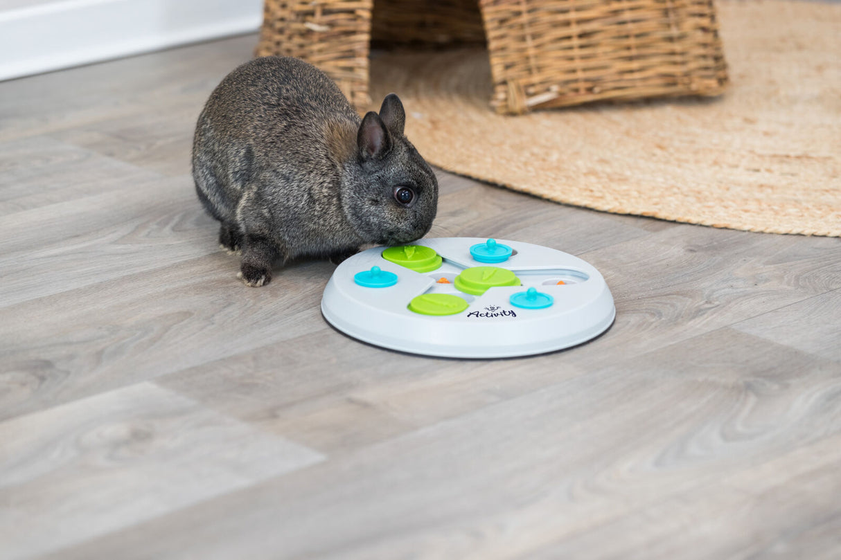 Braunes Kaninchen auf Holzboden, spielt mit rundem Spielzeug in Weiß, Grün, Blau, im Hintergrund ein Korb und Teppich.