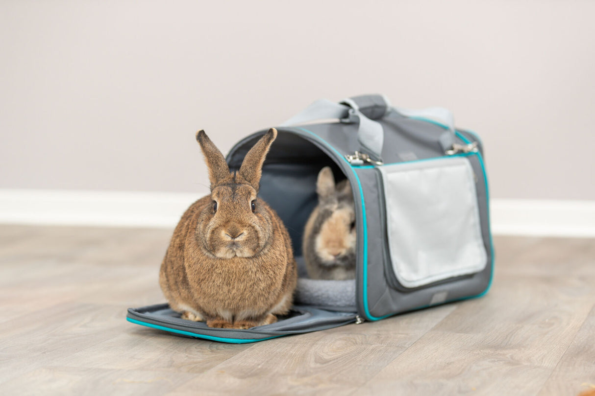 Zwei braune Kaninchen sitzen in und vor einer grauen Transporttasche auf einem Holzfußboden.
