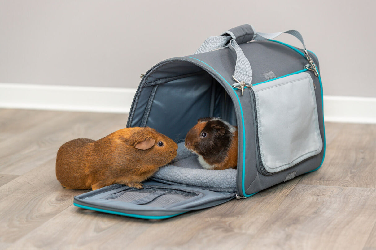 Zwei Meerschweinchen stehen vor einer offenen, grauen Tragetasche auf einem Holzfußboden.