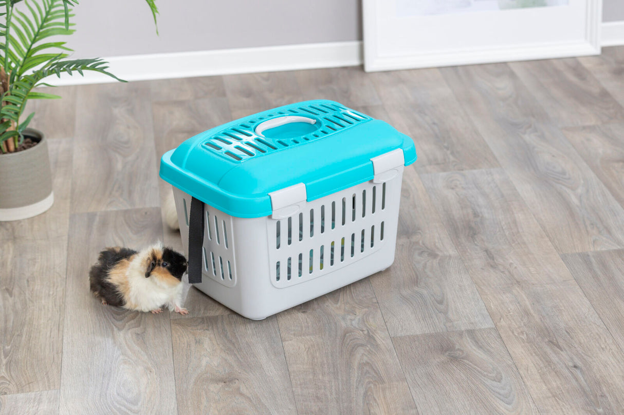 Ein kleines Tier ist neben einer blauen und grauen Transportbox auf einem Holzboden zu sehen.