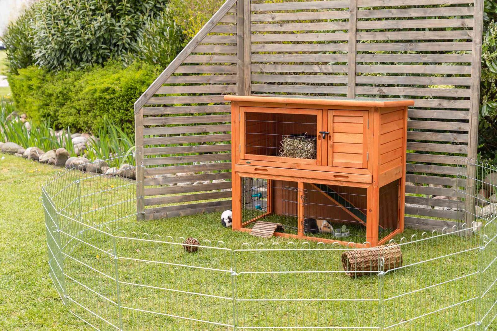 Holzstall mit zwei Ebenen und Drahtgitter im Freien, umgeben von Zaun; innen befinden sich zwei Meerschweinchen.