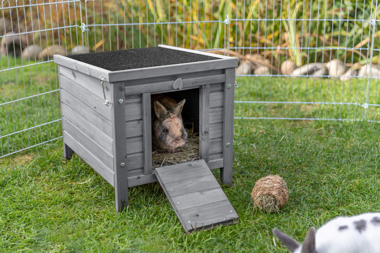 Holzgehege auf Rasen mit Kaninchen im Inneren, Metallzaun, Heu und runder Ball im Vordergrund.