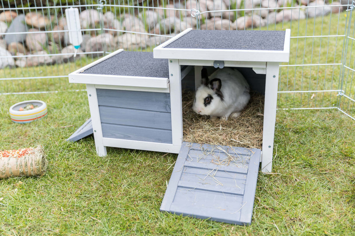 Kaninchen sitzt auf Heu in einem grauen Häuschen mit geöffneter Tür auf grüner Wiese, umgeben von einem Drahtzaun.