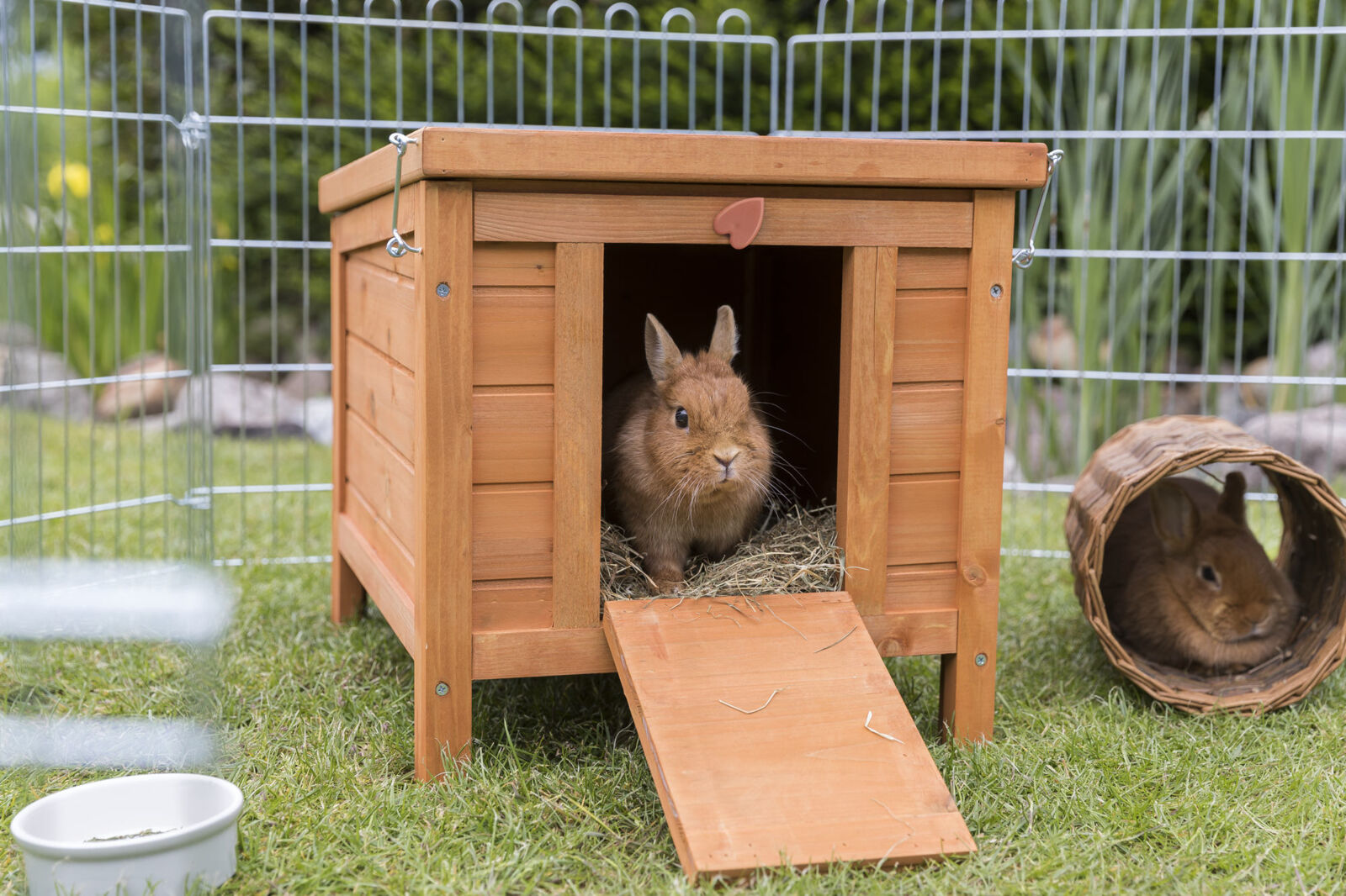 Ein braunes Kaninchen sitzt in einem hölzernen Häuschen mit heruntergeklappter Rampe, daneben ein weiteres Kaninchen in einem Weidentunnel.