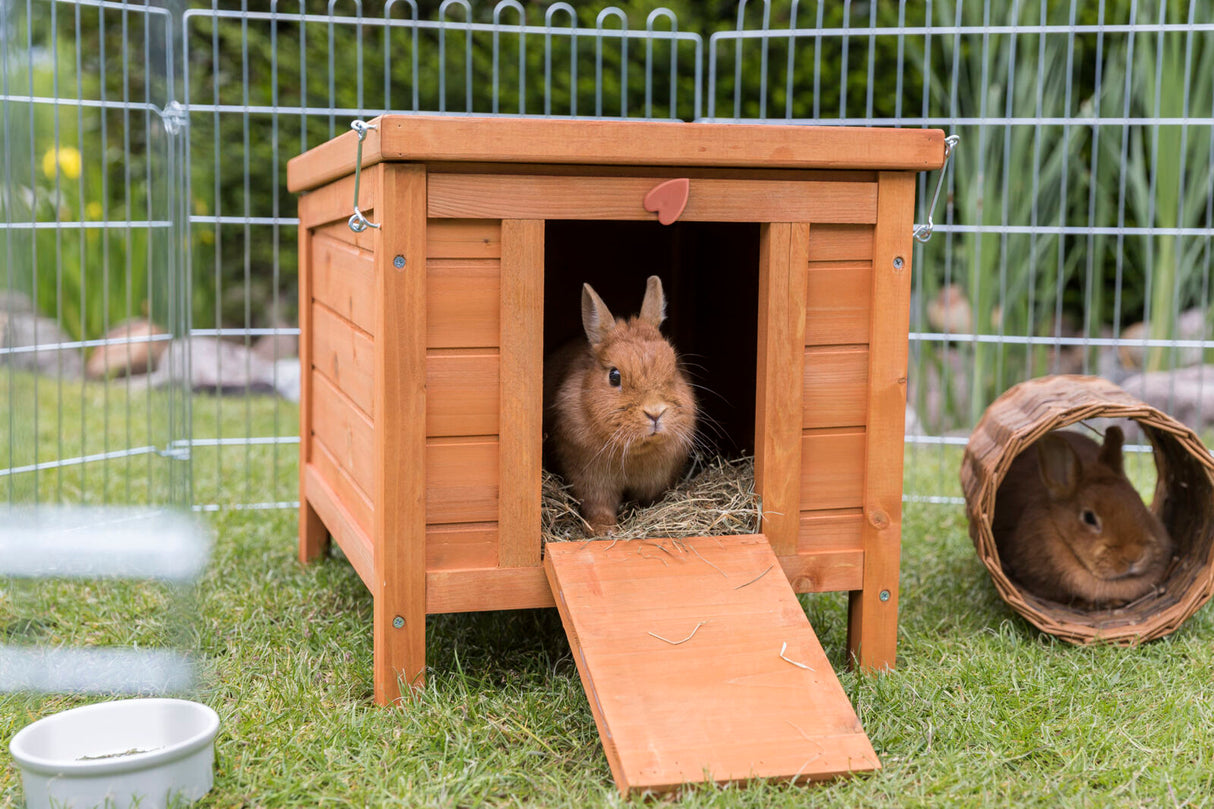 Ein braunes Kaninchen sitzt in einem hölzernen Häuschen mit heruntergeklappter Rampe, daneben ein weiteres Kaninchen in einem Weidentunnel.