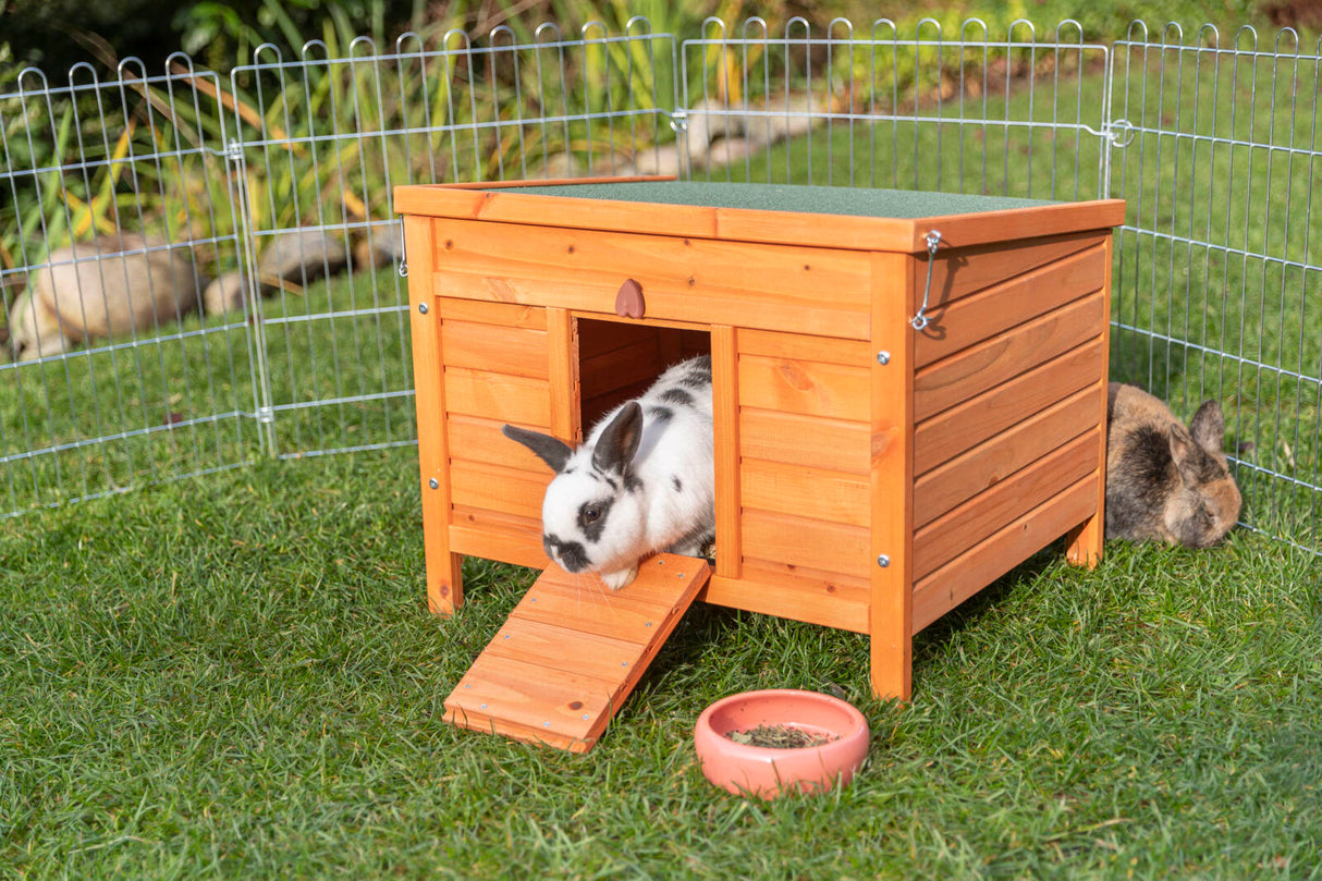 Ein schwarz-weißes Kaninchen verlässt einen hölzernen Hasenstall über eine Rampe, daneben ein Futternapf im Freien.