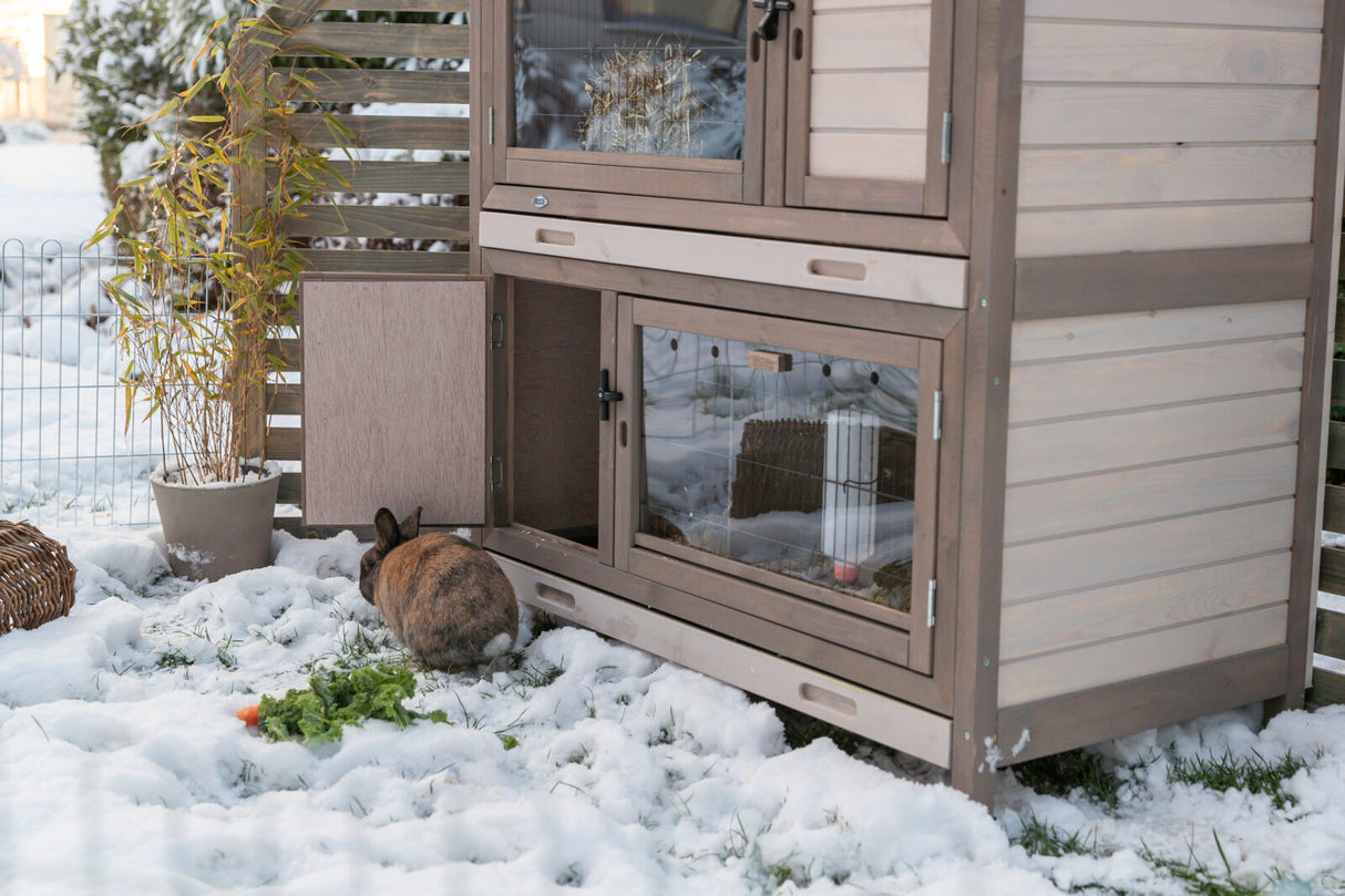 Ein Kaninchen sitzt im Schnee neben einem Hasenstall aus Holz mit geöffneten Türen, davor liegen Karotten und Salat.