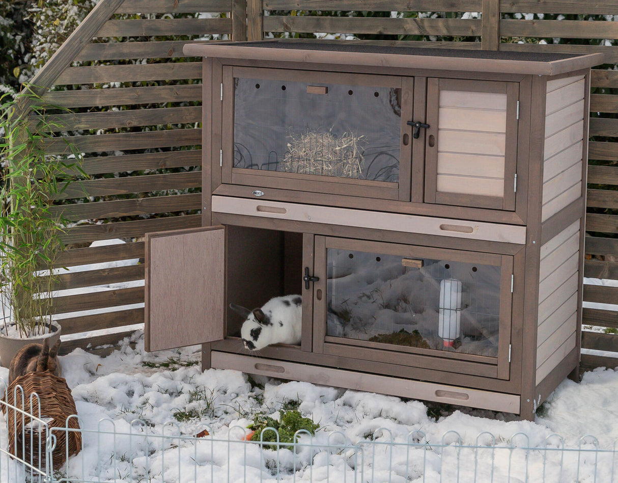 Holzkaninchenstall mit zwei Ebenen und offener Tür, ein Kaninchen innen, Schnee, Gräser und Bambuspflanze außen.