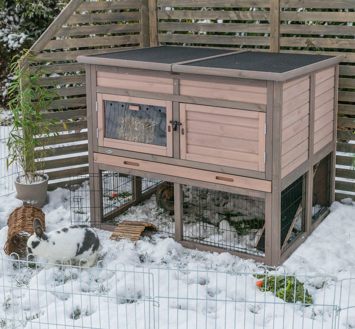 Holzstall mit Gittertüren im Schnee, daneben ein Kaninchen und Bambuspflanze; im Vordergrund Schneeboden.