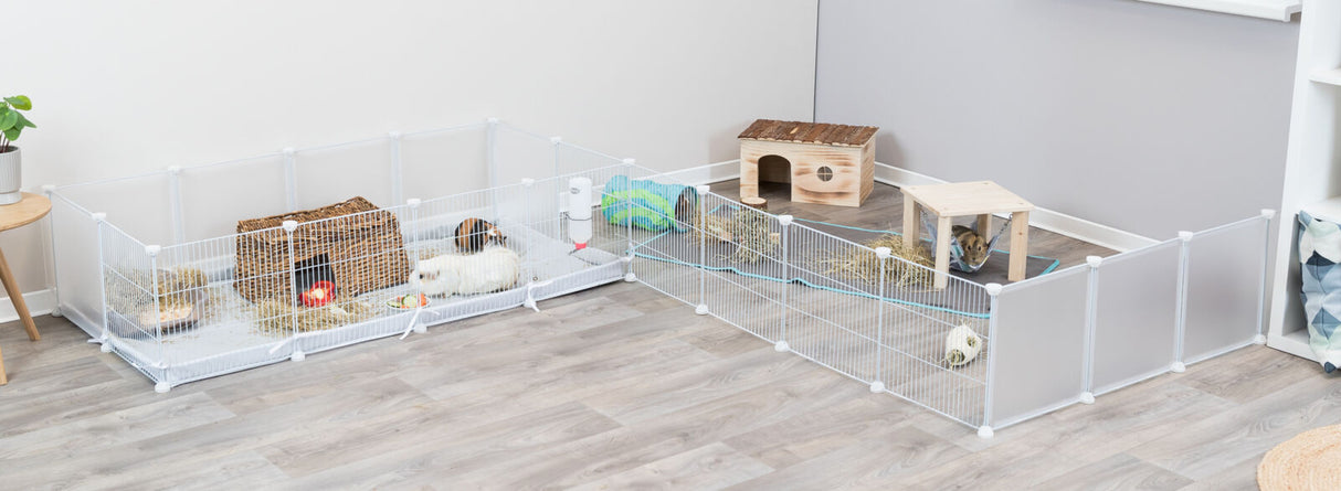 Weißer Laufstall mit zwei Meerschweinchen, Futter, Trinkflasche, Heu, Korb, Häuschen auf Holzboden im Raum.