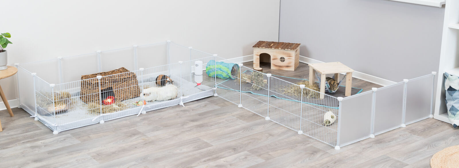 Weißer Laufstall mit zwei Meerschweinchen, Futter, Trinkflasche, Heu, Korb, Häuschen auf Holzboden im Raum.