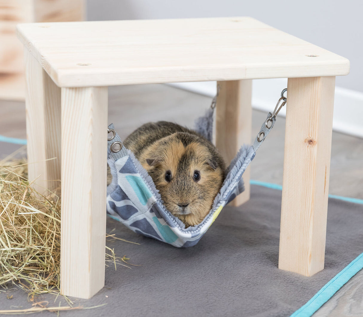 Meerschweinchen in einer bunt gemusterten Hängematte unter einem Holztisch auf einem grauen Teppich.