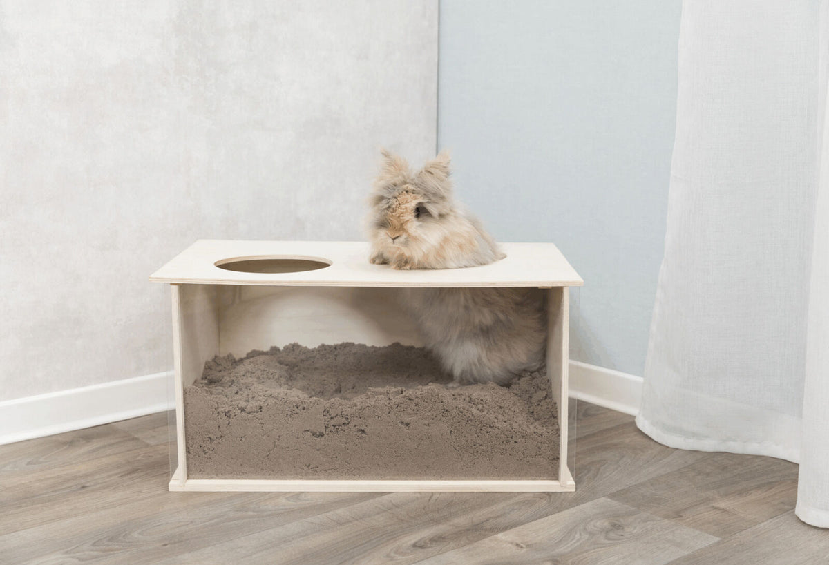 Langes, flauschiges Kaninchen sitzt teilweise in einem Holzkasten auf einem Holzboden, Kasten mit Sand gefüllt.