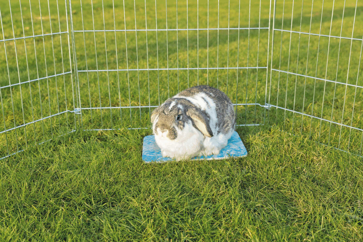 Ein grau-weißes Kaninchen sitzt auf einer blauen Matte in einem offenen Gittergehege auf grünem Rasen.
