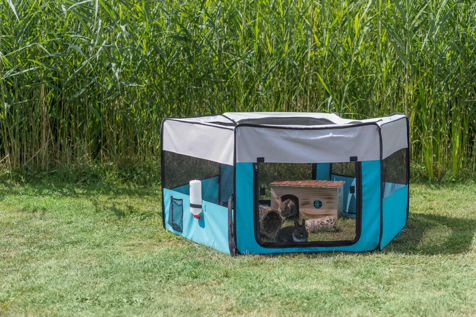 PHO_PRO_SANIMAL_64055-1