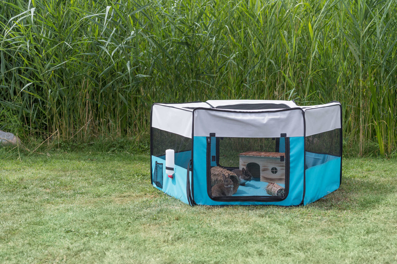 PHO_PRO_SANIMAL_64055-3