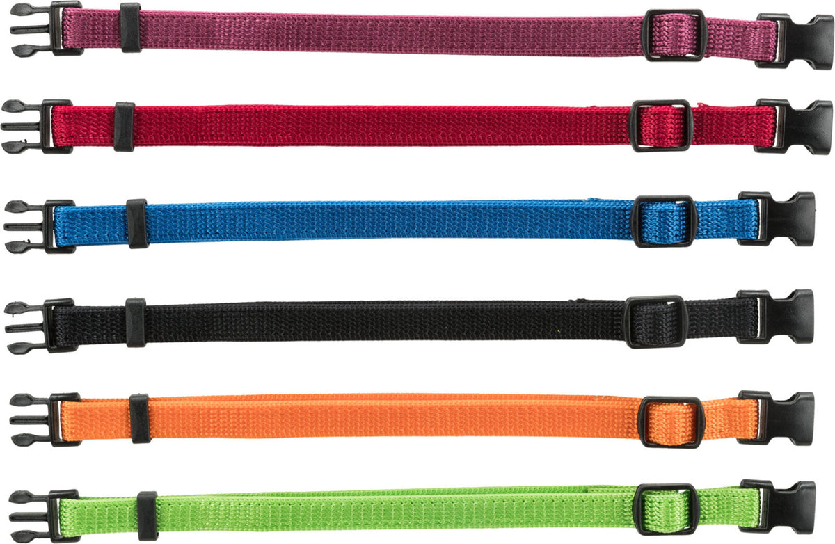 Sechs bunte Hundehalsbänder in Rot, Blau, Schwarz, Orange, Grün und Lila mit schwarzen Schnallen in einer Reihe.