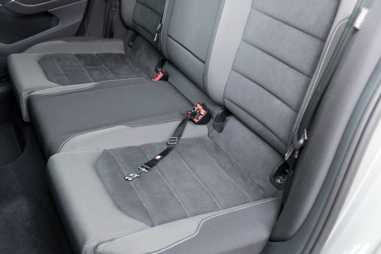 Hinterbank eines Autos mit grauen Polstersitzen und einem schwarzen Gurt befestigt am Sitz.