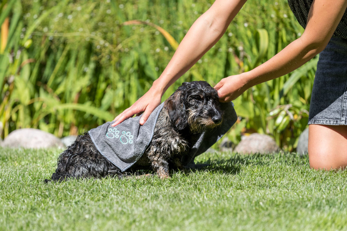 Sommer-Set für Hunde, Handtuch und Leuchtturm Wasserspielzeug