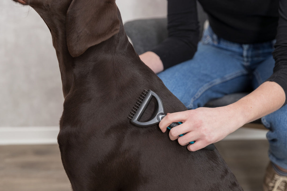 Person bürstet einen dunkelbraunen Hund mit einem dunklen Pflegewerkzeug auf Holzboden.