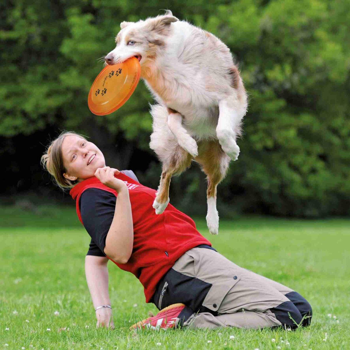 Hund springt mit orangefarbener Frisbee im Maul über Person in roter Weste auf grünem Gras.