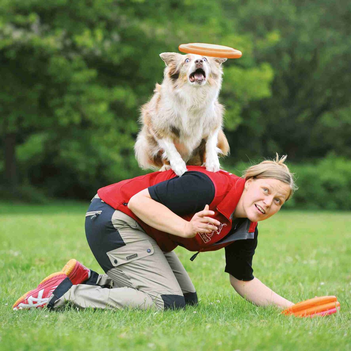 Hund mit braunem Fell balanciert auf dem Rücken einer knienden Person, beide schauen auf eine schwebende Frisbee.