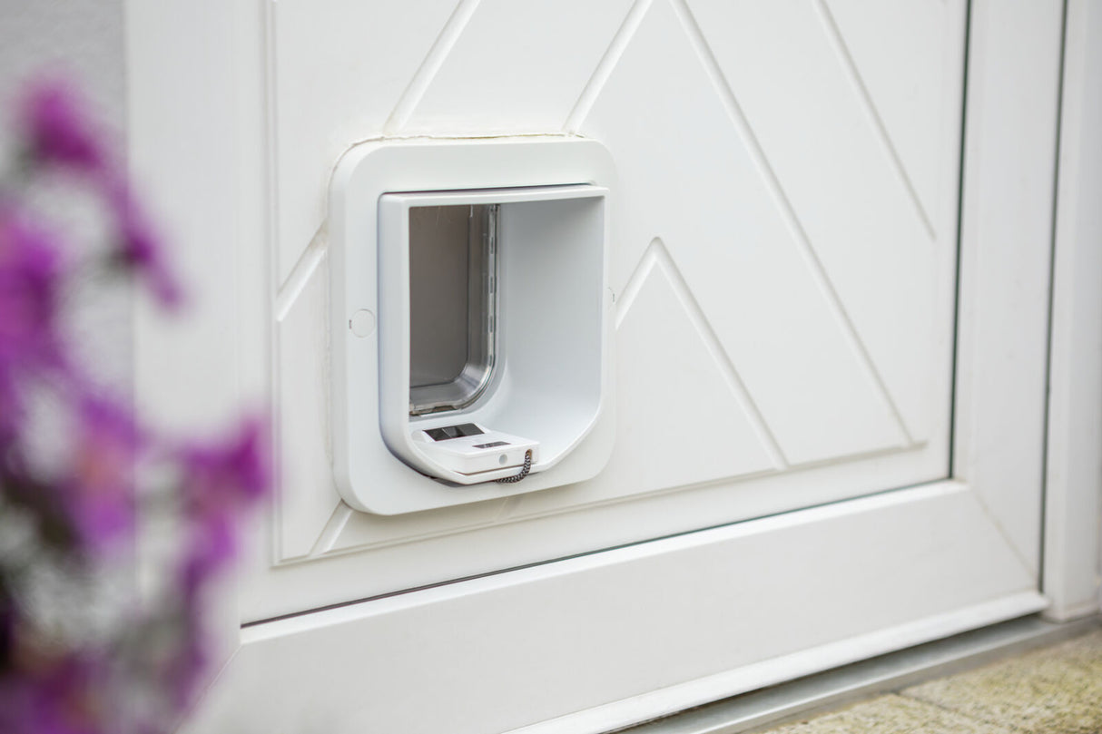 ZeroMOUSE – Smarter Beute-Stopper für bestehende Katzenklappen