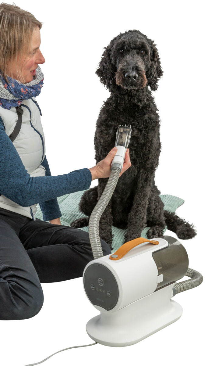 Eine Person bürstet einen schwarzen Hund mit einem weißen Gerät und Schlauch; der Hund sitzt auf einer Decke.