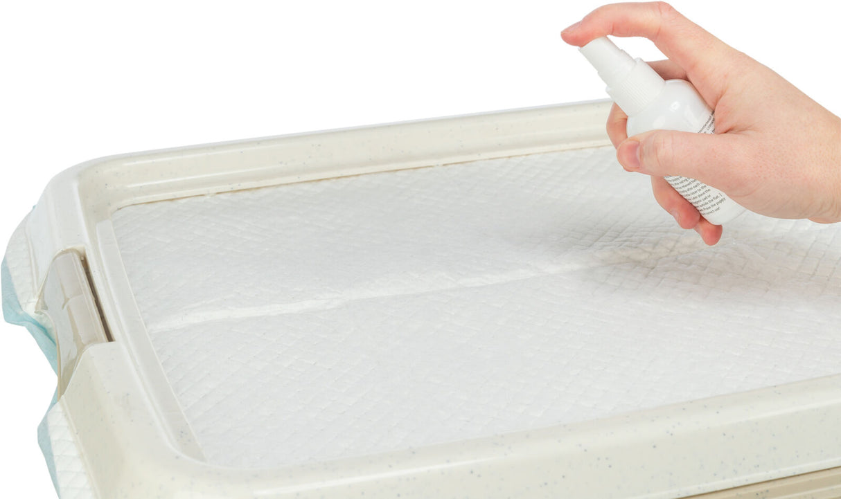 Hand hält eine weiße Sprühflasche über ein weißes Polster auf einem rechteckigen Tablett.