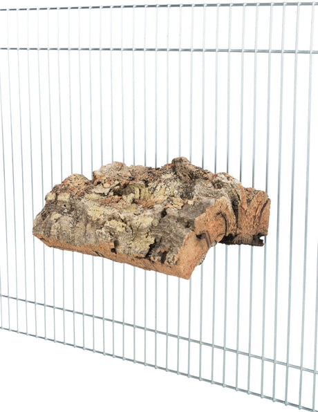 PHO_PRO_USE_CLIP_58041-1