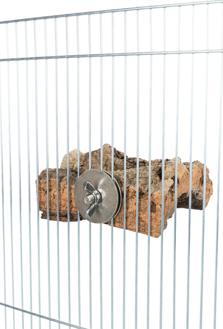 PHO_PRO_USE_CLIP_58041-2