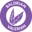 PICTO_Baldrian-Valerian-2
