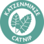 PICTO_Katzenminze-Catnip-2
