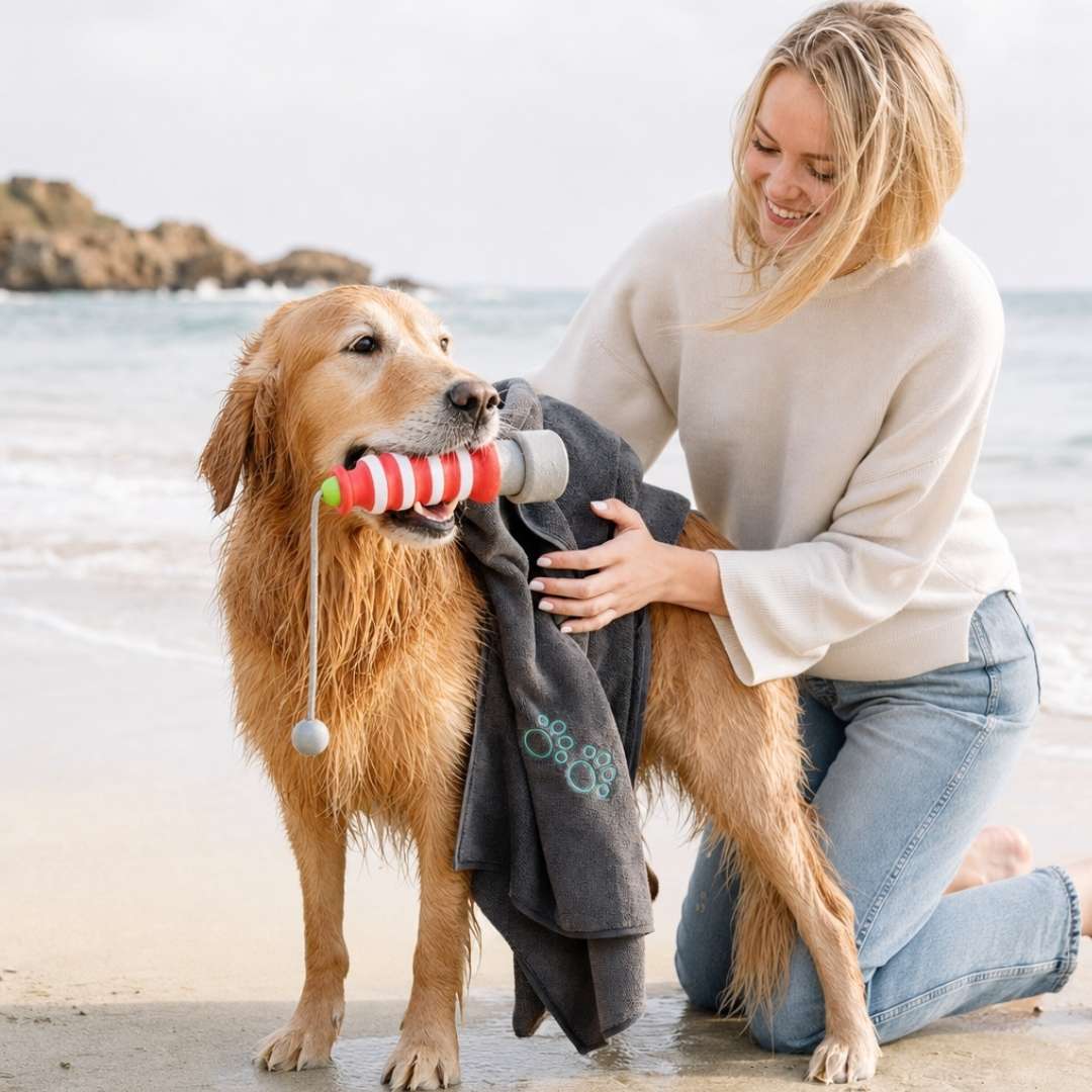Sommer-Set für Hunde, Handtuch und Leuchtturm Wasserspielzeug