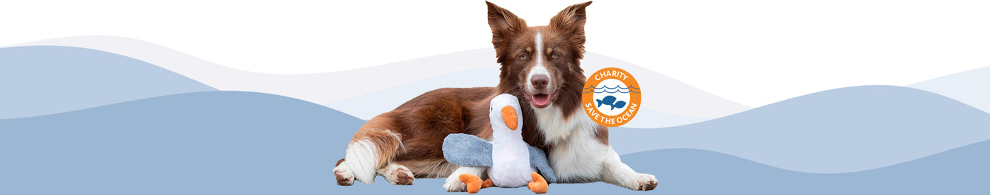 Wellenhintergrund in Blautönen, darauf liegt ein freigestellter, roter Border Collie mit Hinnerk, der Möwe aus Plüsch.