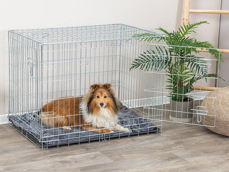 Der richtige Einsatz von Hundeboxen - TRIXIE Hunderatgeber