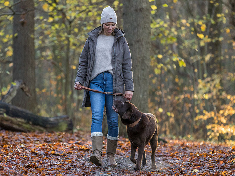 Senior-Hund – Aktivität im Alter, Arthrose & Schwäche. Hilfe für das alte Tier.