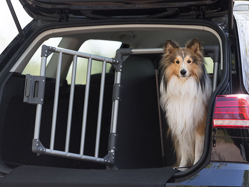 Urlaub mit dem Hund - was muss man beachten? Der TRIXIE Ratgeber für Hunde