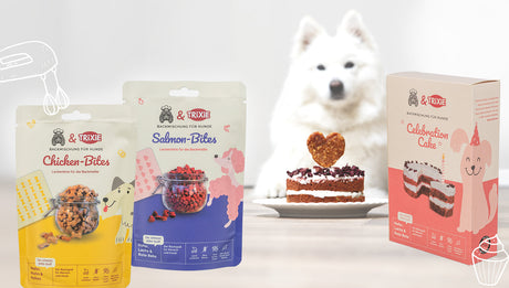 Jetzt wird gebacken – Backmischungen für deinen Hund