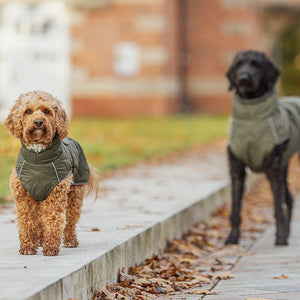 Hundebekleidung & Leuchtartikel