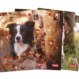 Kalender