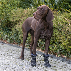 trixie fahrradanhänger für hunde mit schnell-falt-funktion TRIXIE Fahrradanhänger für Hunde, zum Jogger umbaubar – TRIXIE Heimtierbedarf GmbH & Co. KG