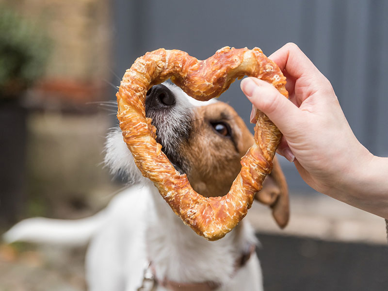 Hundesnacks