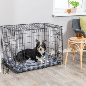 Hundeboxen