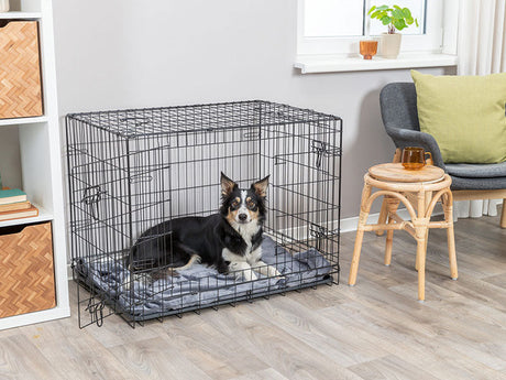 Hundeboxen